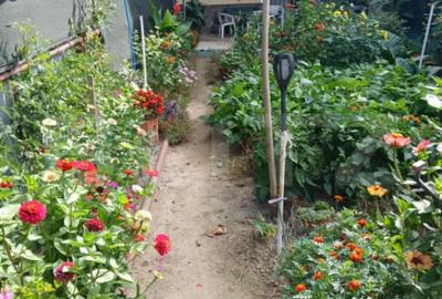 Casă cu 4 camere cu Teren 138 Mp în 14 Mai - 1