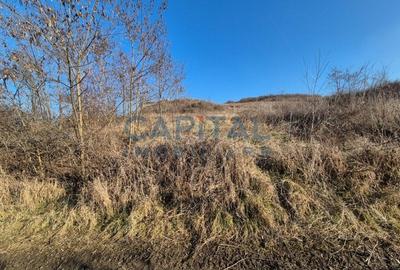 Teren intravilan, 1 000 mp, zona Tausor - 6