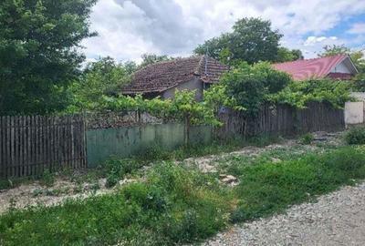 Casa si teren, loc Dragalina, Jud. Calarasi-03.03 - 1