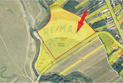 Teren Construcții intravilan de 49283 mp, în Vânătorii Mici