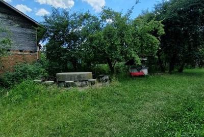 Balilesti - Stradal, casa spatioasa, 4600 mp teren intravilan - curte spatioasa - 21