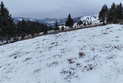 Teren de 25731 mp, în Breaza - 7