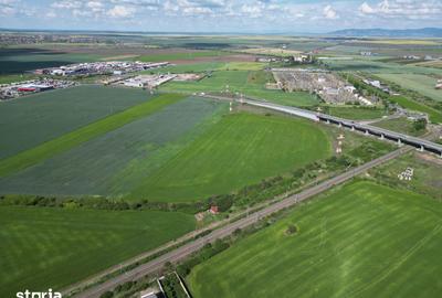 Teren de 28089 mp, în Micălaca - 5