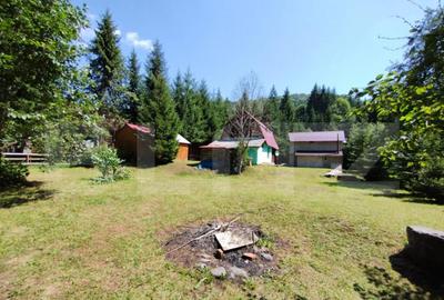 Cabana 4 camere Lunca Bradului - 14