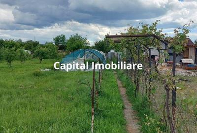 Casă cu 4 camere în Ciocadia - 20