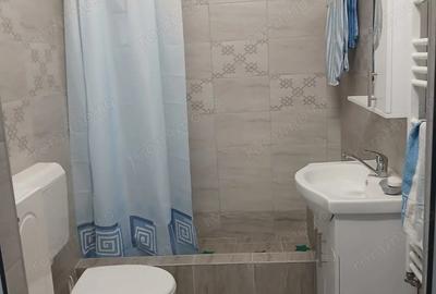 Vand, schimb casa in Ineu, jude?ul Arad - 4