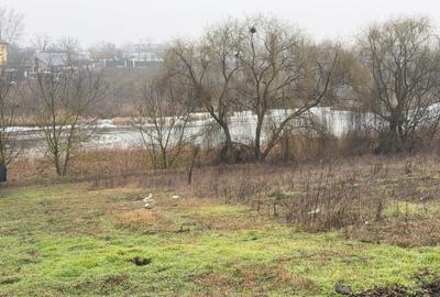 Teren cu deschidere la lac | 50 m Padure | 1000 MP - 7