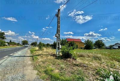 Teren de 2500 mp, în Frumușani - 2