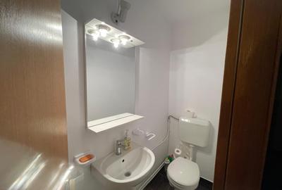 Apartament cu 3 camere decomandat, mobilat în Nicolae Grigorescu - 9