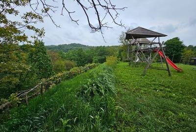 Teren de 5000 mp, în Cărbunari - 2