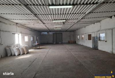 Spațiu comercial, de 800 mp, în Colonia Bod - 12