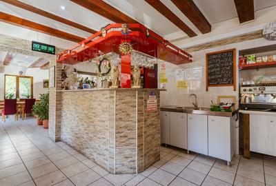 Afacere HoReCa de preluat – Pizzeria Venezia, Arad - 8