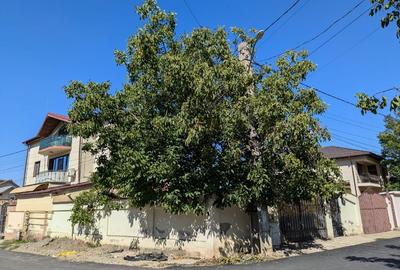 Vedere la Padure, Curte și Balcon