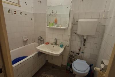 Obor,Colentina,stradal,Teiul Doamnaei 15 minute metrou - 12