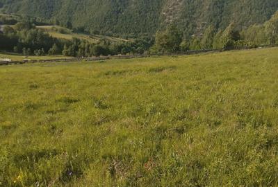 Spațiu comercial, în Vale - 4