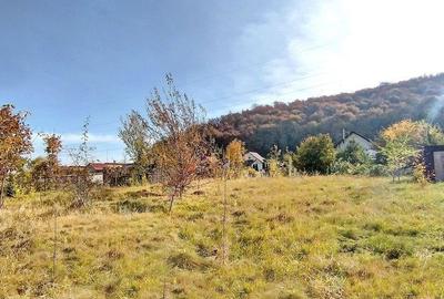 Teren de 660 mp, în Bunloc - 5