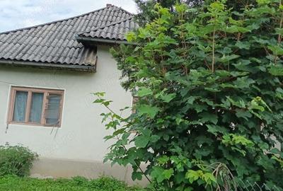 Casa si teren de vanzare Salistea de Sus - 2