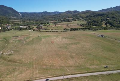 Teren extravilan Rasnov - 5