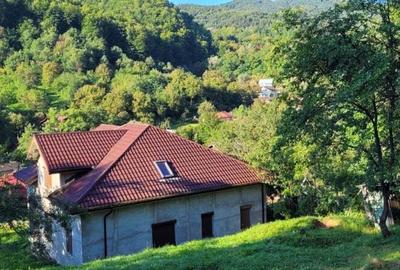 Vand casa nehoiu - 2