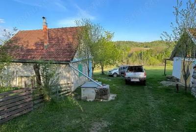 Investi?ie in natura > 2 case restaurate cu poten?ial de inchiriere si teren de 20.000 mp - 4