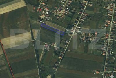 Teren de 3200 mp, în Lazuri - 1
