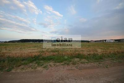 Snagov Ghermanesti - Teren 1637 Mp, Deschidere 19 M, Toate Utilitatile - 6