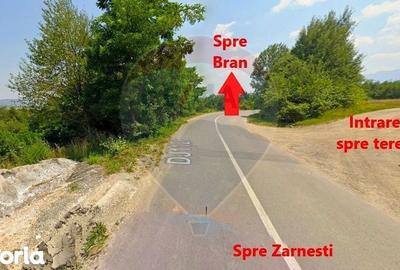 Teren de 4223 mp, în Bran - 12