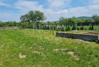 Teren agricol extravilan de 2491 mp, în Vest - 3