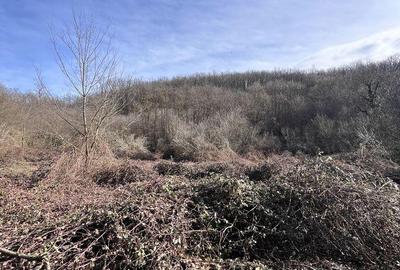 Spațiu comercial, în Odvoș