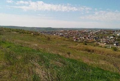 Teren de 10000 mp, în Copou - 5
