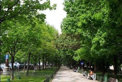 Garsonieră decomandată în Unirii - 2