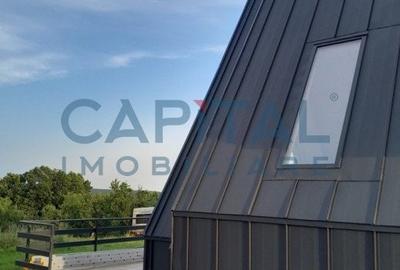 Oportunitate! Casa de vacanta A-frame, judetul Arges - 5