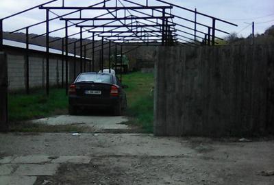 Teren de 3000 mp, în Rădeni - 6