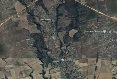 Teren de 13383 mp, în Broșteni - 3