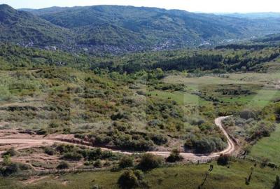 Teren extravilan, 41.631,00 mp, zona Pietrosita - 5