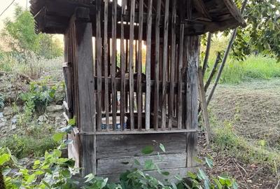 Casă cu 2 camere în Buteni - 6