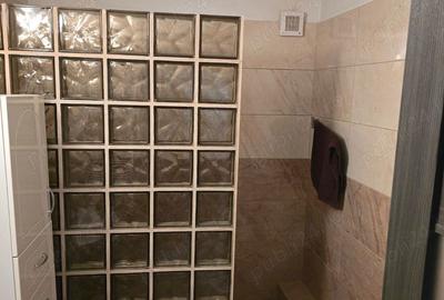 Apartament cu 2 camere decomandat în Nufărul - 6