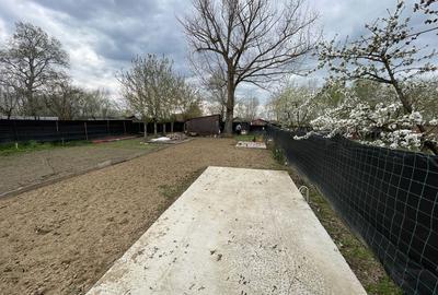Teren de 450 mp, în Micălaca - 7
