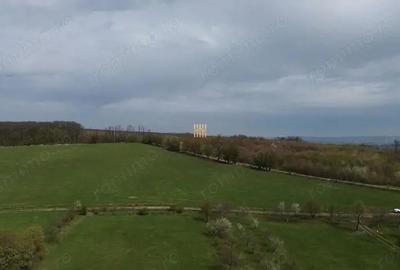 Teren de 5800 mp, în Mitocași - 5