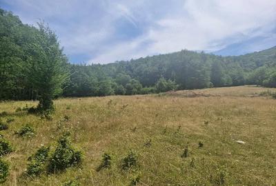 Casă cu Teren 1800 Mp în Anini - 5