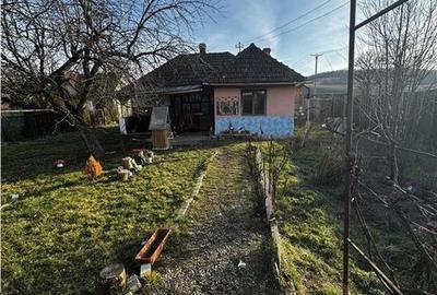 Casă cu 2 camere cu Teren 1000 Mp în Central - 9