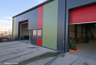 Inchiriere depozit/hala/spatiu industrial Theodor Pallady - Drumul Intre Tarlale - 4