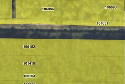 Teren de 1600 mp, în Voila - 3