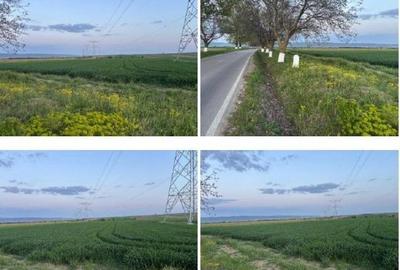 Teren cota parte 1/6 Paunesti, ID: R2547851 - 3