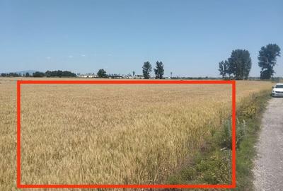 Teren de 6500 mp, în Golești - 3