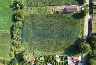 Teren de 3500 mp, în Bogdănești - 1