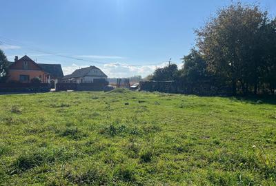 Teren intravilan, 518 mp,, front asfalt, utilitati Teren intravilan, 518 mp,, front asfalt, utilitati - 3