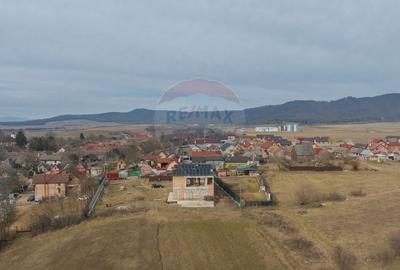 COMISION 0% Casa Individuala La Rosu cu teren de 4000 mp in Crizbav - 4