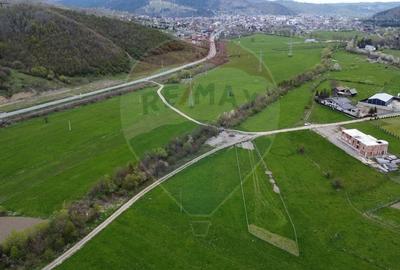 Teren agricol extravilan de 3157 mp, în Exterior Est - 7