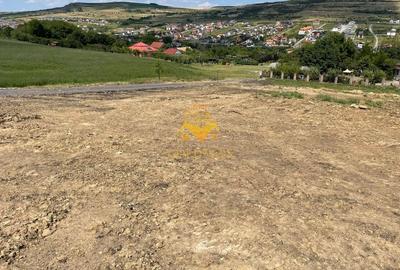 Terenuri de vanzare, Parcelabil, Valea Chintaului, Zona Beta Residence - 4